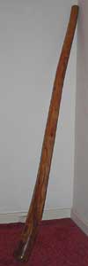 photo of digeridoo